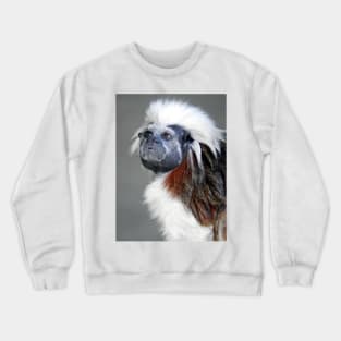 Cotton-top Tamarin Crewneck Sweatshirt